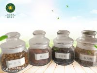 油莎豆、梔子、文冠果、水飛薊